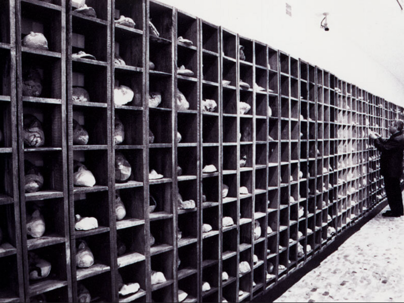 Nemokama edukacija vaikams „Visos laisvos dalys“