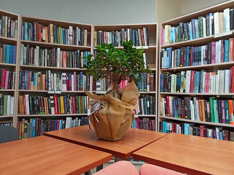 Orientacinis žaidimas-pasimatymas