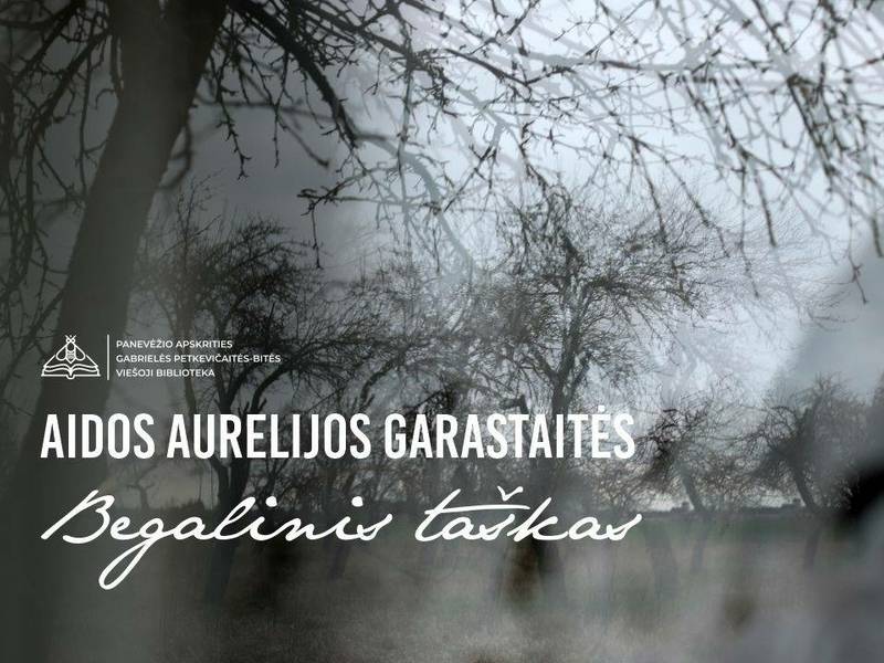 Aidos Aurelijos Garastaitės fotografijų paroda „Begalinis taškas“
