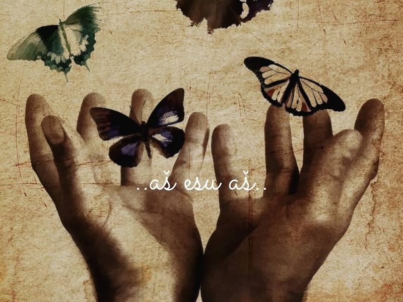 Emocinio intelekto (EI) ugdymo programa jaunimui taikant grupinę dailės terapiją „AŠ esu AŠ“