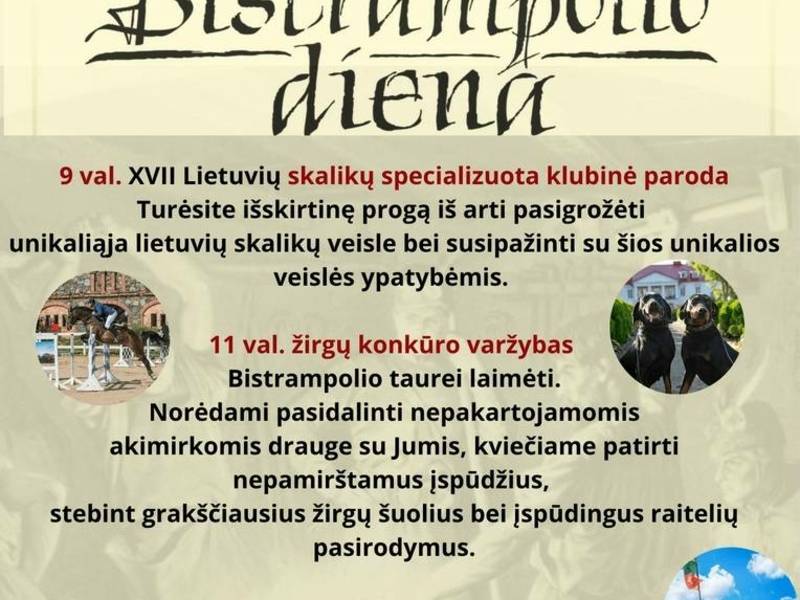  XXIII-asis Bistrampolio festivalis