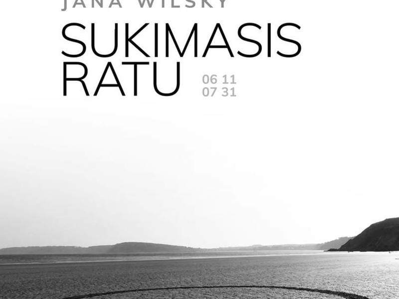 Vokietijos menininkės Janos Wilsky paroda „Sukimasis ratu“