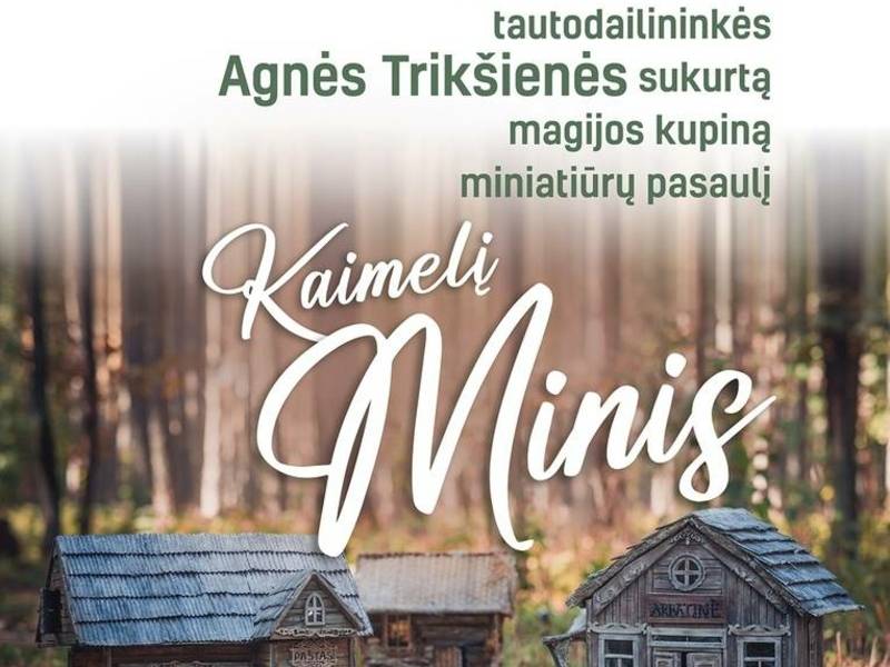 Tautodailininkės Agnės Trikšienės miniatiūrų paroda "Kaimelis Minis"