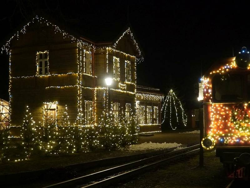 LIETUVOS KALĖDINIS SIAURUKAS 2025