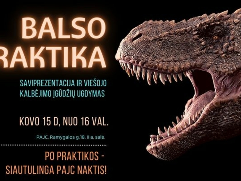 Efektyvi kalba: saviprezentacija ir viešojo kalbėjimo įgūdžių ugdymas