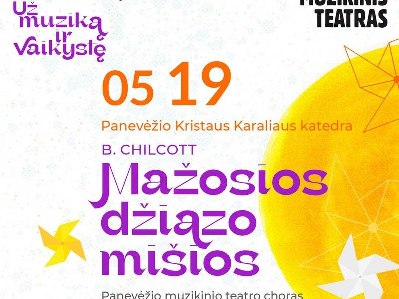 B. CHILCOTT MAŽOSIOS DŽIAZO MIŠIOS