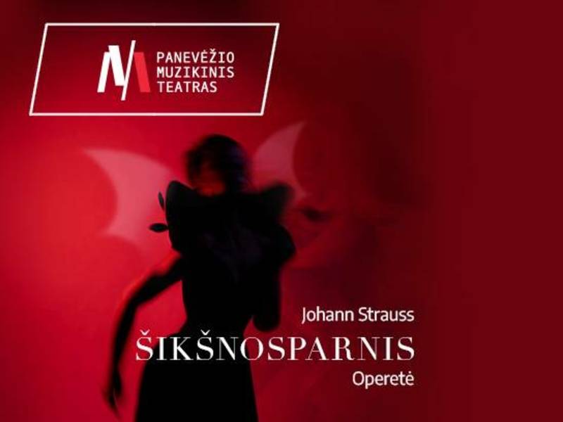 PMT | operetė ŠIKŠNOSPARNIS