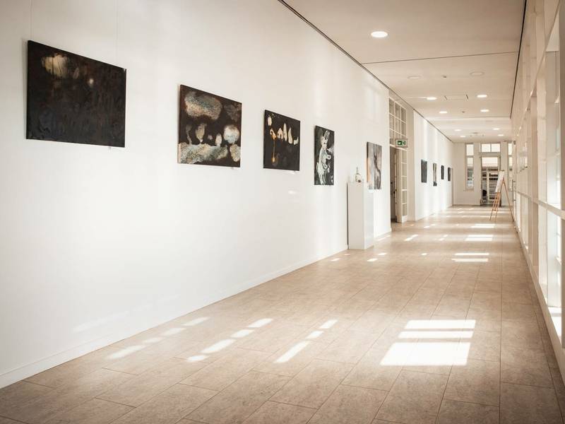 Dainos Vanagaitės-Belžakienės kūrybos paroda „Po paviršiumi”