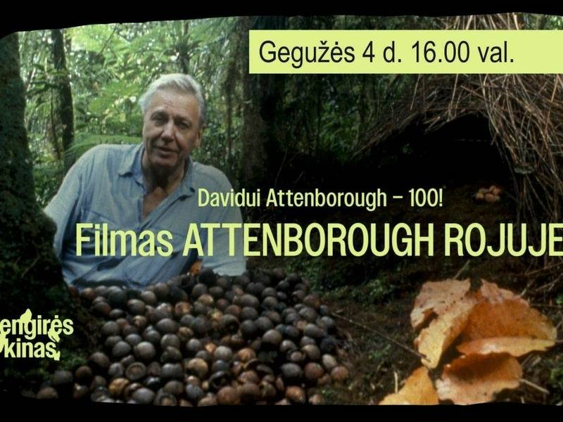 SENGIRĖS kinas  Panevėžio rajono savivaldybės viešojoje bibliotekoje : Attenborough rojuje