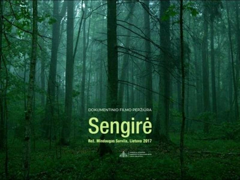 Mindaugo Survilos dokumentinis filmas „Sengirė“ (2017)