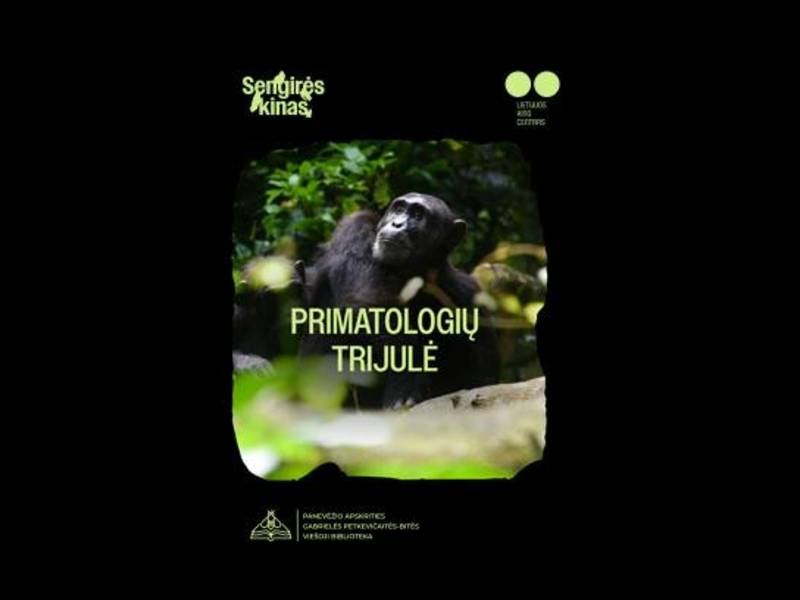 Dokumentinis filmas „Primatologių trijulė“ (rež. Markas ir Caitlin Starowicz, 2020, Kanada, JAV, 2 ser. po 60 min.)