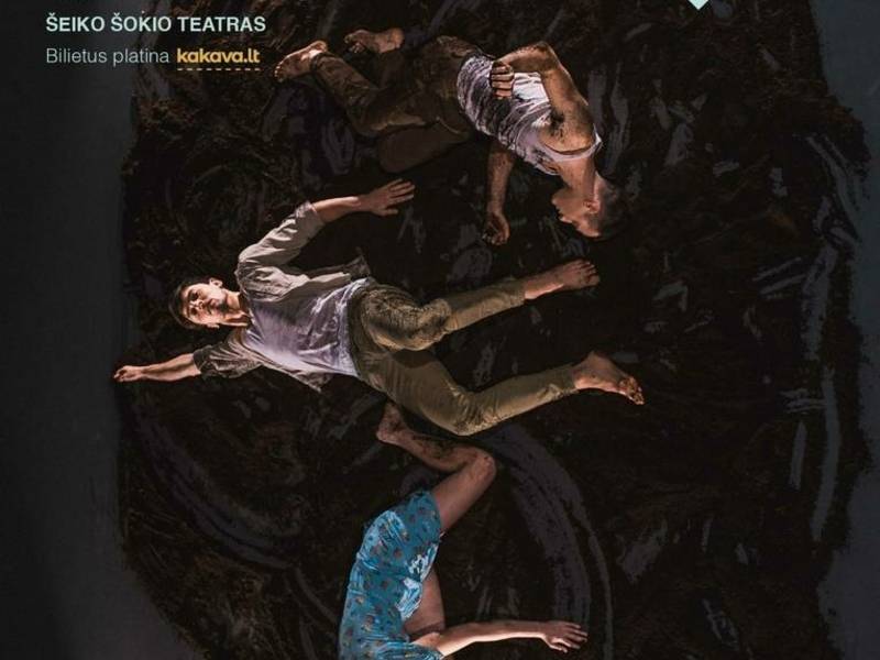 Šokio spektaklis AŠ ESU... | Šeiko šokio teatras