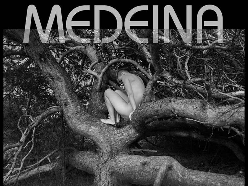 Sauliaus Saladūno fotografijų parodos „Medeina“ atidarymas