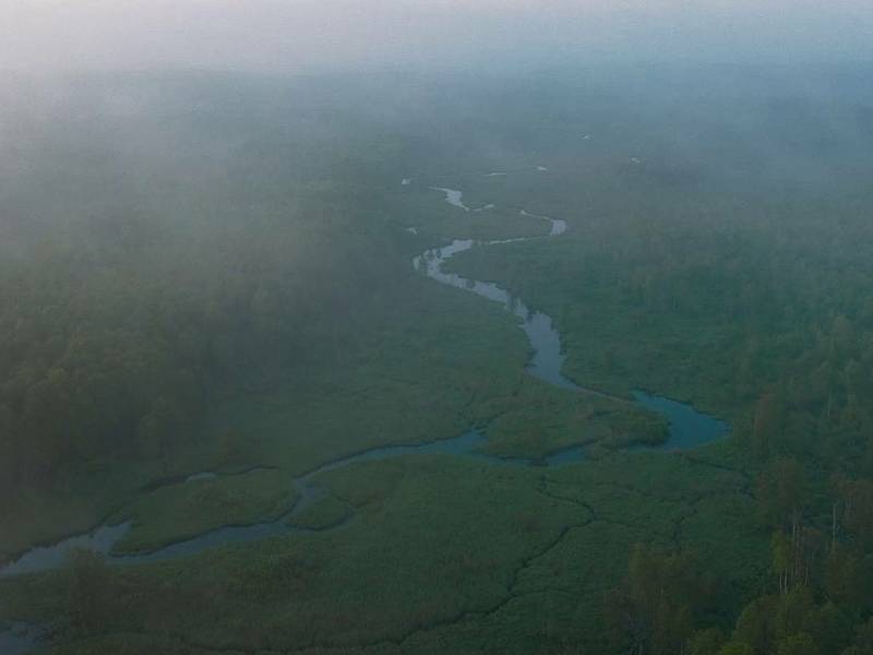 Dokumentinio filmo „Vertikalūs pinigai“ peržiūra