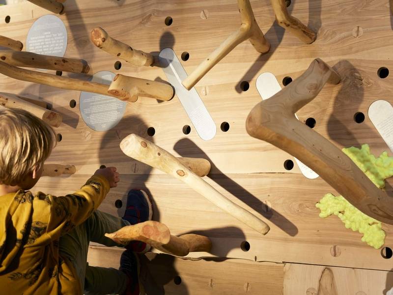 Nemokama edukacija vaikams „Vaikų miško pavilojonas“